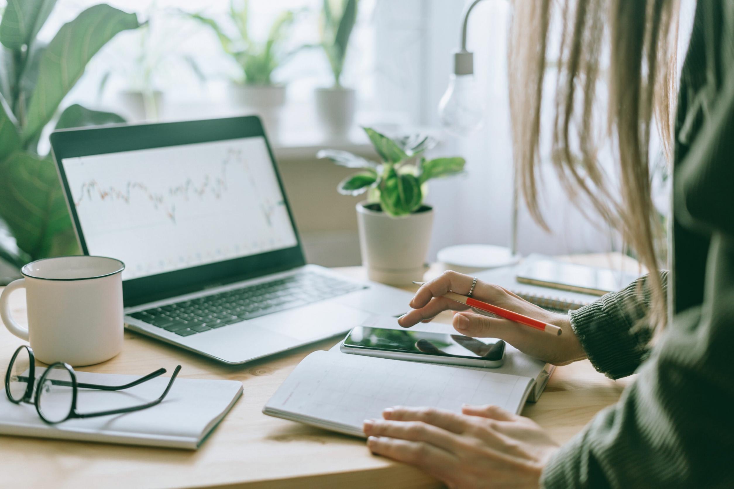 Équipe de formateurs SEO en session de travail